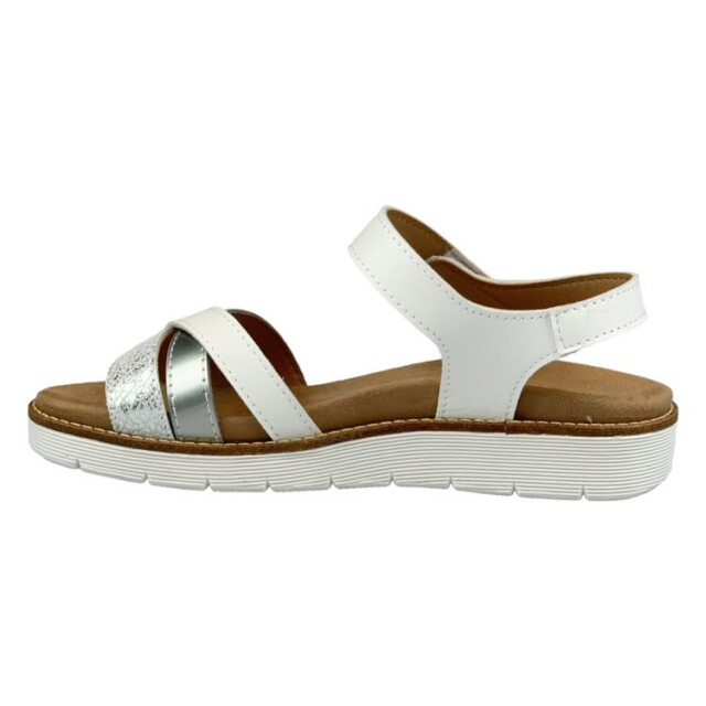 Longo 1126762 1126762 large