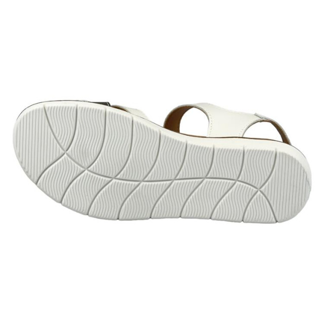 Longo 1126762 1126762 large