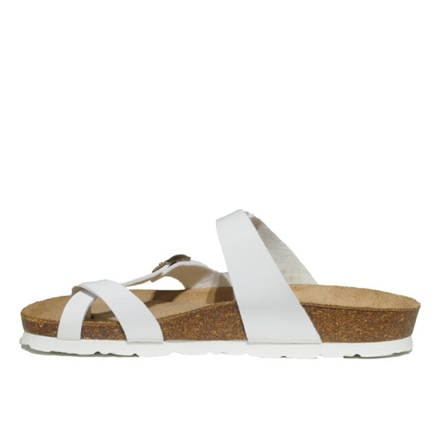 Rohde 5575 5575 large