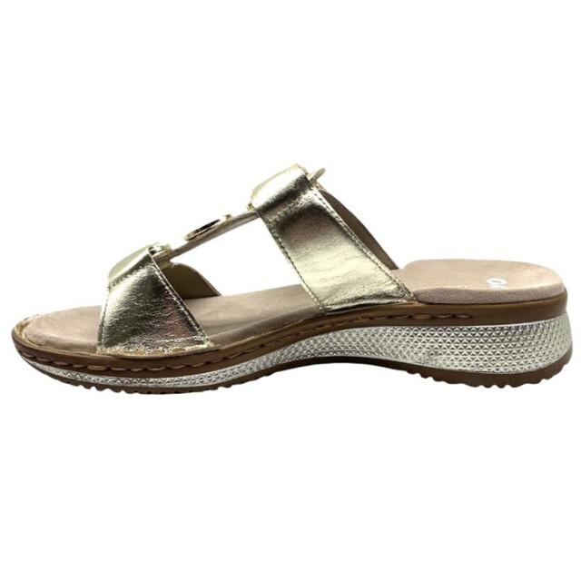 Ara 12-29003 hawaii 12-29003 Hawaii large