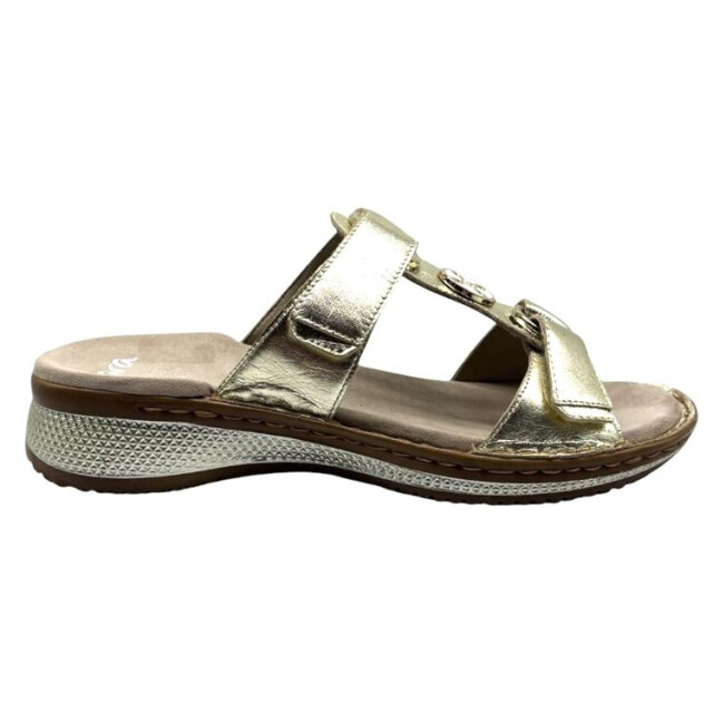 Ara 12-29003 hawaii 12-29003 Hawaii large