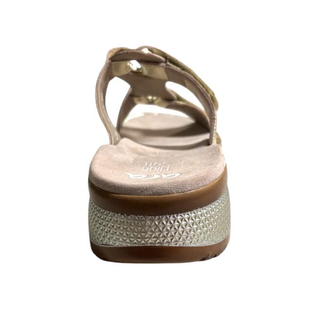 Ara 12-29003 hawaii 12-29003 Hawaii large