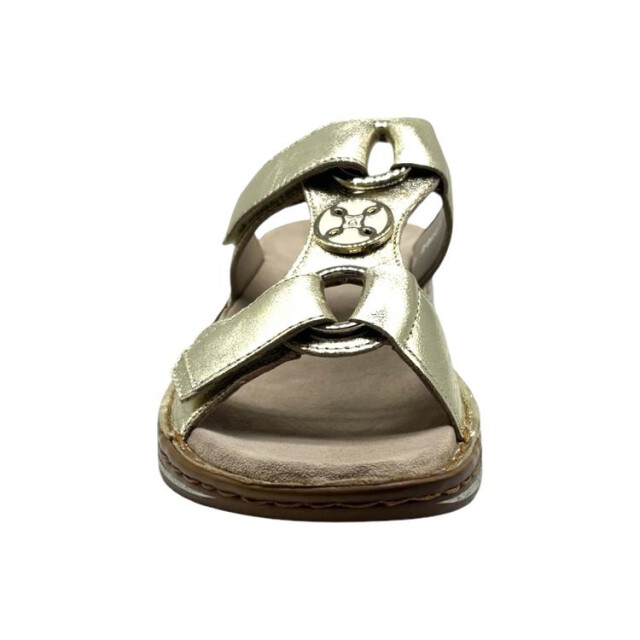 Ara 12-29003 hawaii 12-29003 Hawaii large