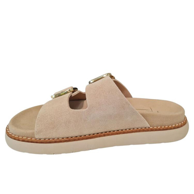 Natural Sense 11484 1143684 large