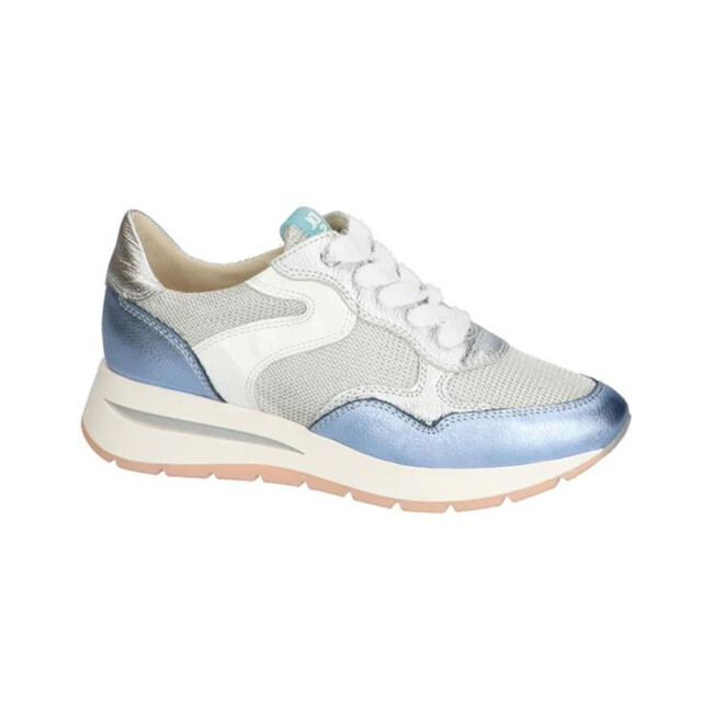 DL Sport 6559 6559 large DL Sport 6559 6559 large