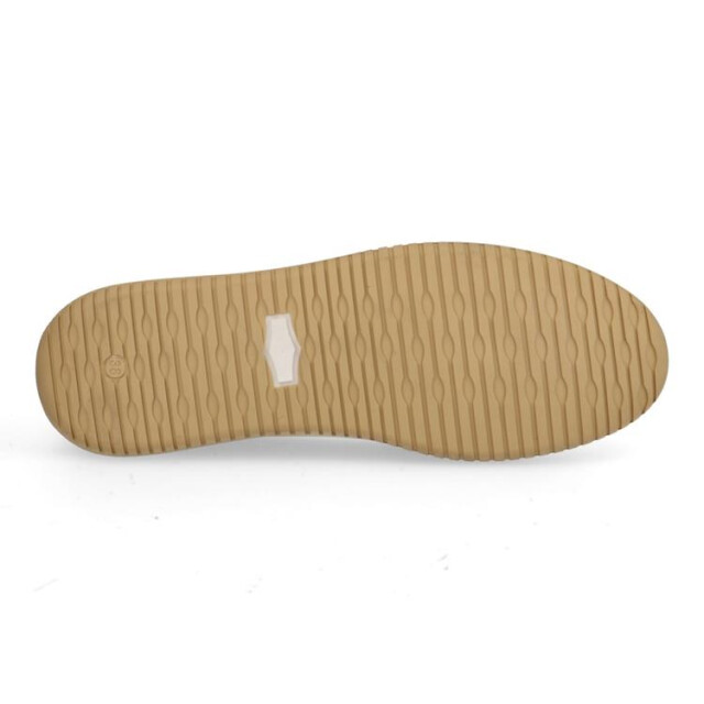 Roberto d'Angelo Dave Dave large