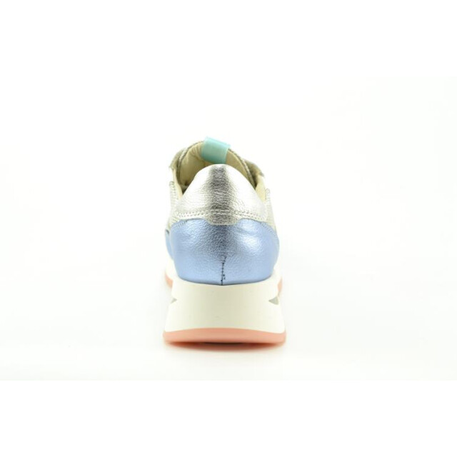 DL Sport 6559 6559 large DL Sport 6559 6559 large