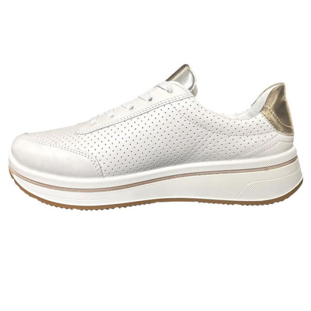 Ara 12-27550 sapporo 12-27550 Sapporo large