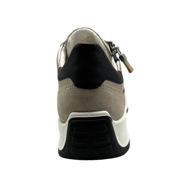 Ara 12-25112 new york 12-25112 New York large