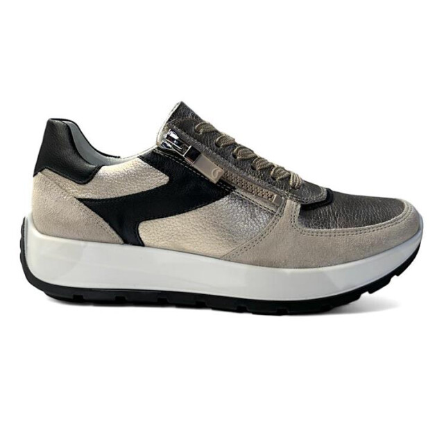 Ara 12-25112 new york 12-25112 New York large