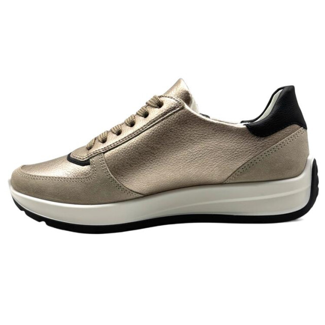 Ara 12-25112 new york 12-25112 New York large