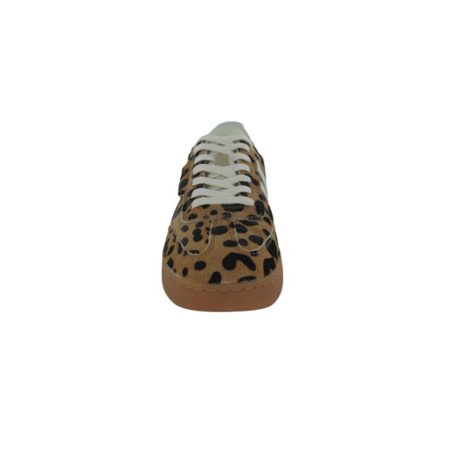 Kaotiko Boston v aq005 BOSTON V AQ005 large