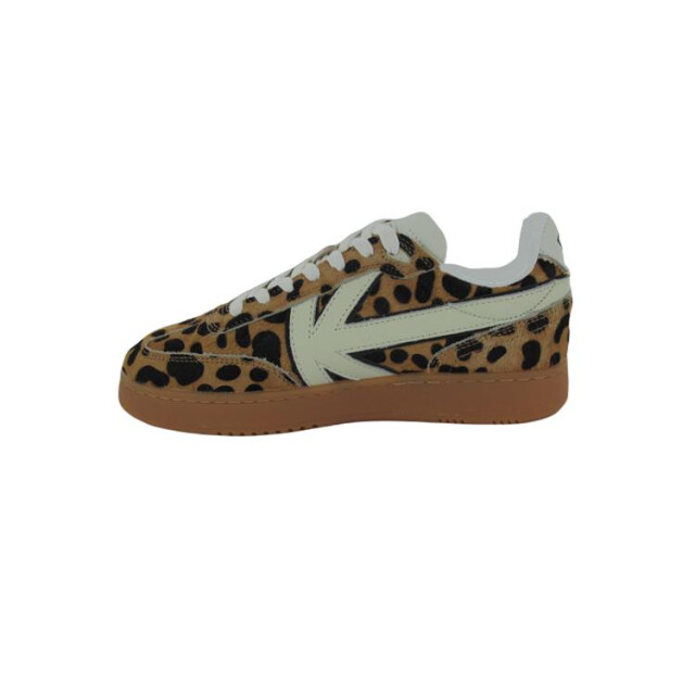 Kaotiko Boston v aq005 BOSTON V AQ005 large