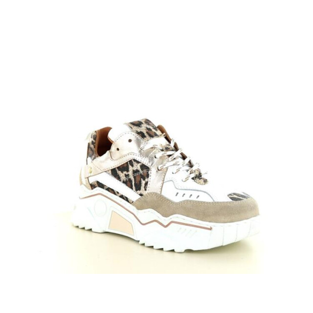 DWRS Label Pluto leopard Pluto Leopard large DWRS Label Pluto leopard Pluto Leopard large