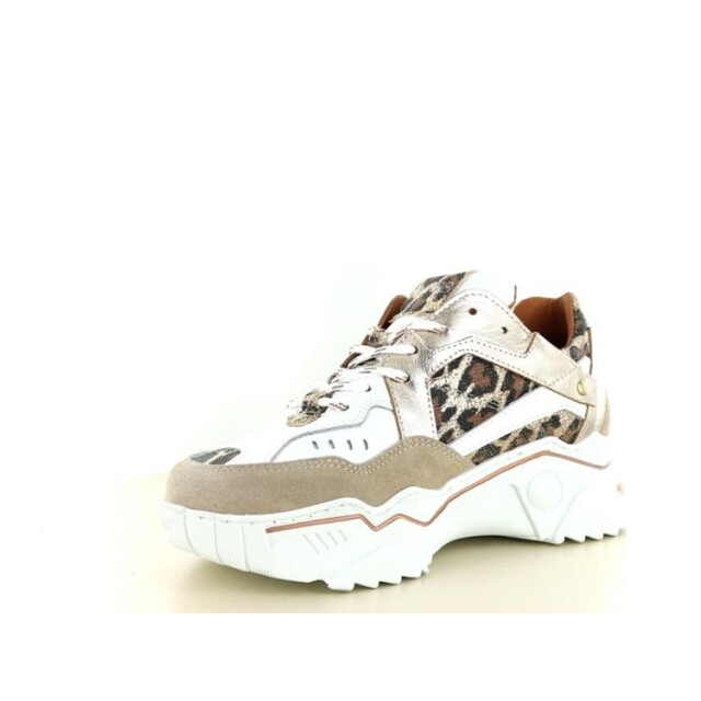 DWRS Label Pluto leopard Pluto Leopard large DWRS Label Pluto leopard Pluto Leopard large