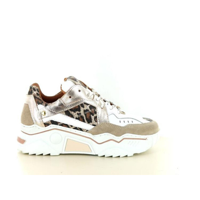 DWRS Label Pluto leopard Pluto Leopard large DWRS Label Pluto leopard Pluto Leopard large