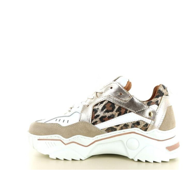 DWRS Label Pluto leopard Pluto Leopard large DWRS Label Pluto leopard Pluto Leopard large