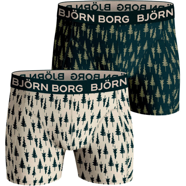Björn Borg 2-pack core boxers 10000801-MP002-XL large
