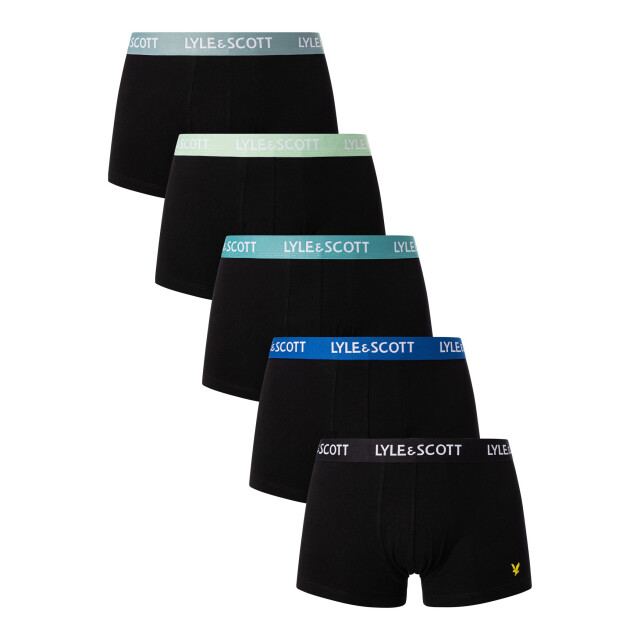 Lyle and Scott Miller 5-pack boxers LS5UW005-699-M large