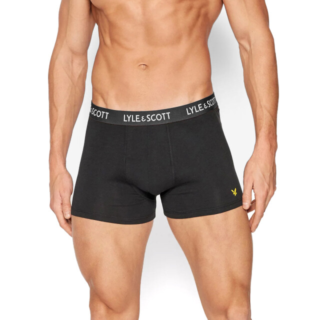 Lyle and Scott Tyler 10-pack boxers LS10UW002-315-L large