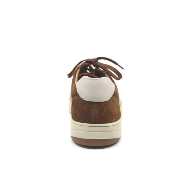 Mephisto harrison-grizzly Sneakers Bruin harrison-grizzly large Mephisto harrison-grizzly Sneakers Bruin harrison-grizzly large