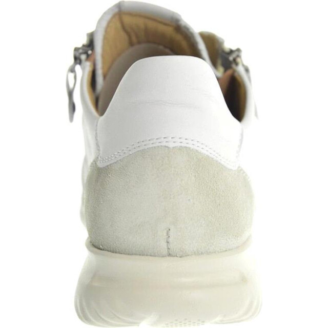 Hartjes 162.1138 162.1138 large