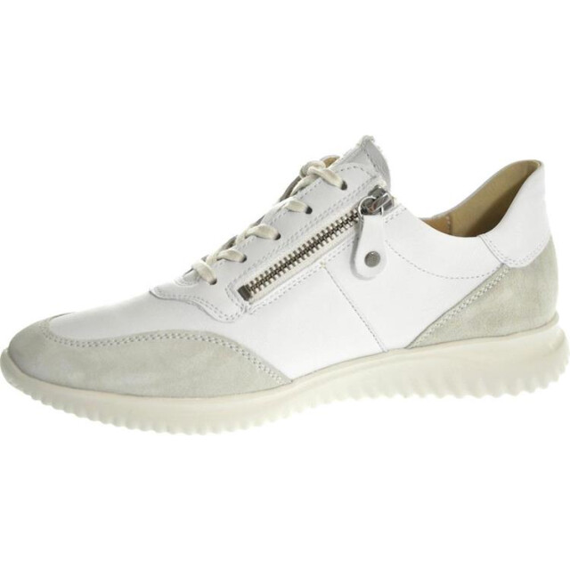 Hartjes 162.1138 162.1138 large