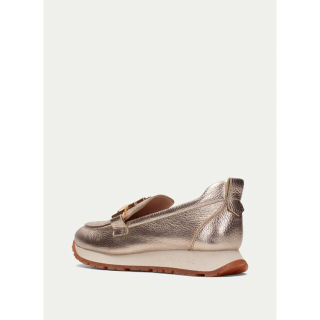 Hispanitas Hv2549 kansan-vs HV253949 Kansan-VS large Hispanitas Hv2549 kansan-vs HV253949 Kansan-VS large