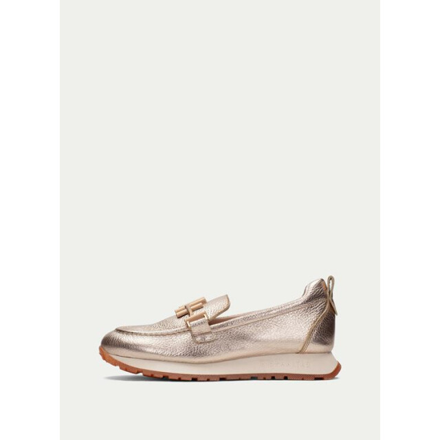 Hispanitas Hv2549 kansan-vs HV253949 Kansan-VS large Hispanitas Hv2549 kansan-vs HV253949 Kansan-VS large