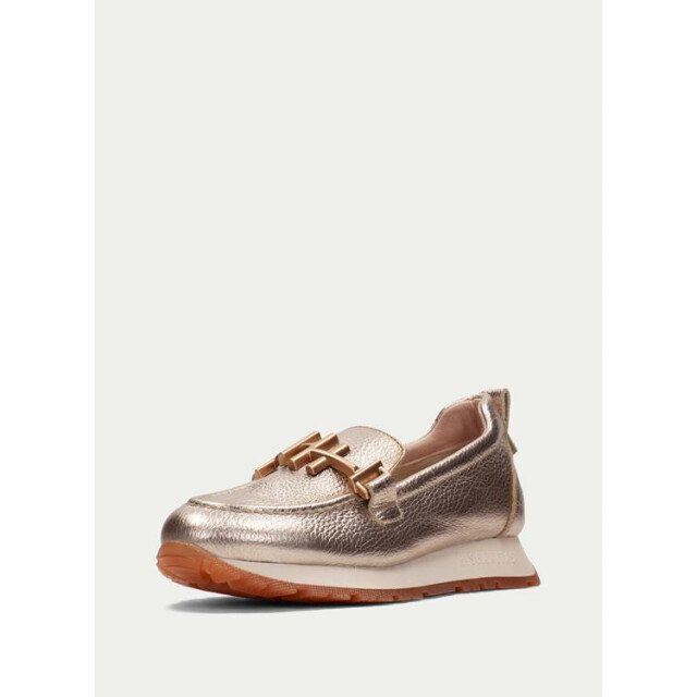 Hispanitas Hv2549 kansan-vs HV253949 Kansan-VS large Hispanitas Hv2549 kansan-vs HV253949 Kansan-VS large