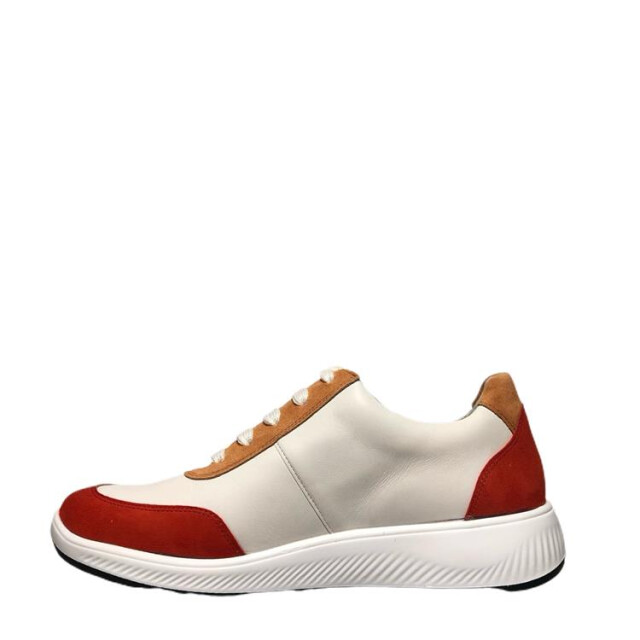 Solidus 56287 56287 Halea large