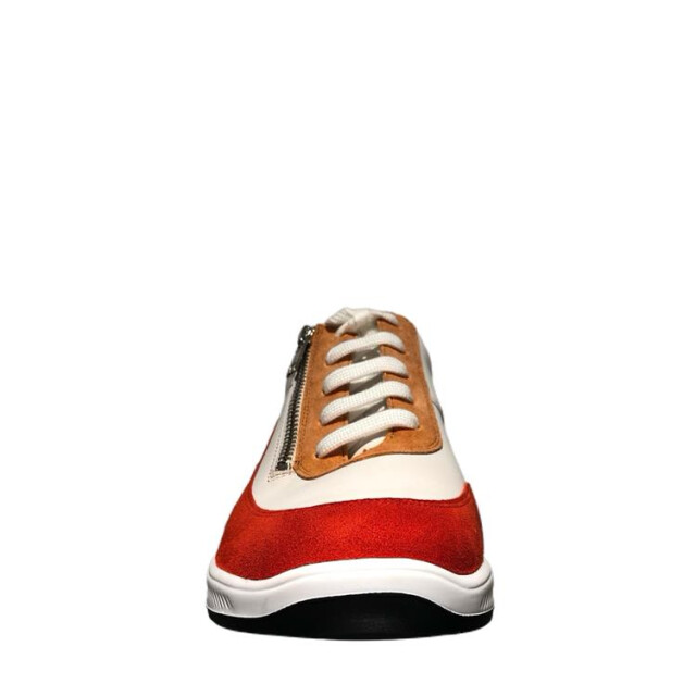 Solidus 56287 56287 Halea large