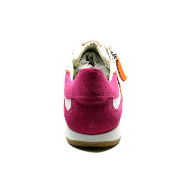 DL Sport 6257 6257 large DL Sport 6257 6257 large