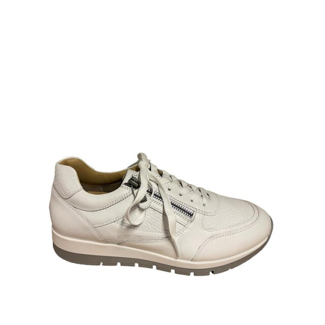 Helioform 249.001 249.001 large