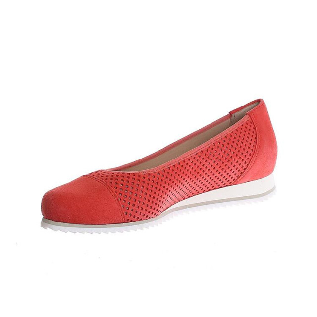 Hassia 7-301623 7-301623 large Hassia 7-301623 7-301623 large