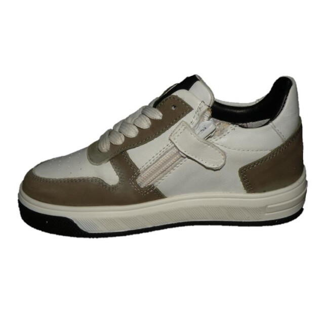 Gattino G1618 G1618 large