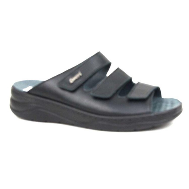 Stuppy 2830 2830 large