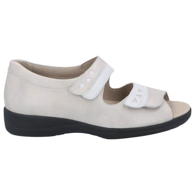 Solidus 73081 73081 Lia large