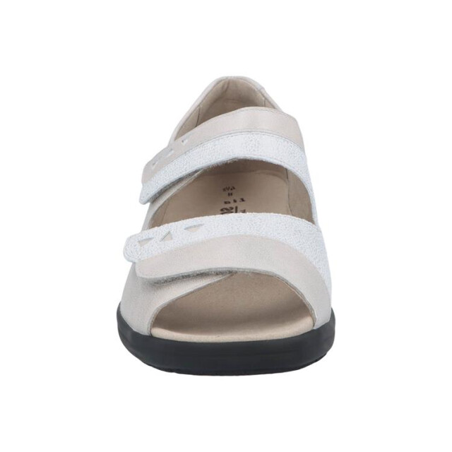 Solidus 73081 73081 Lia large