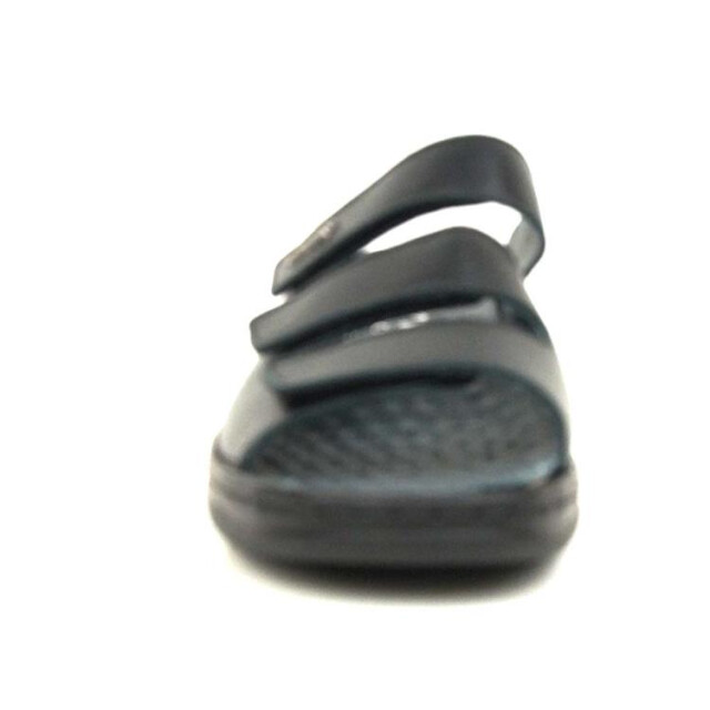 Stuppy 2830 2830 large