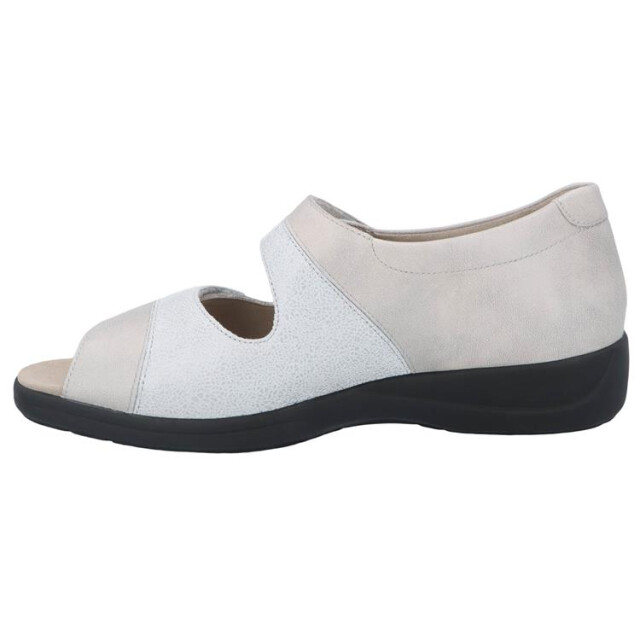 Solidus 73081 73081 Lia large