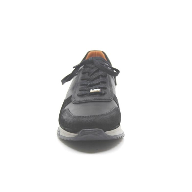 Berkelmans Oyama Oyama large