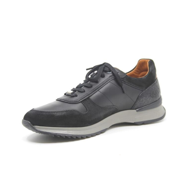 Berkelmans Oyama Oyama large