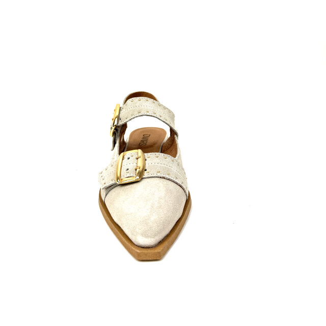 DWRS Label 52847-04 52847-04 large