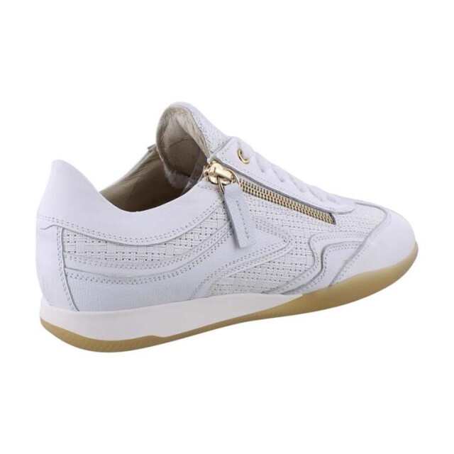 DL Sport 6571 6571 large