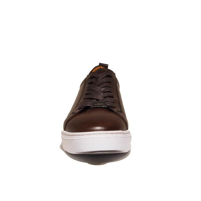 Berkelmans Benalla Benalla large