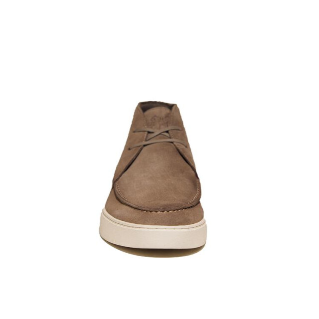 Berkelmans 2510430.334 2510430.334 large