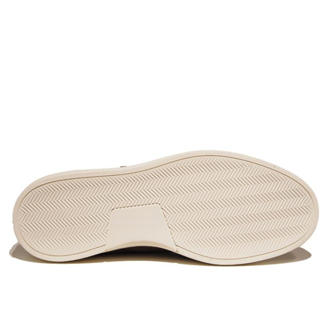 Berkelmans 2510430.334 2510430.334 large