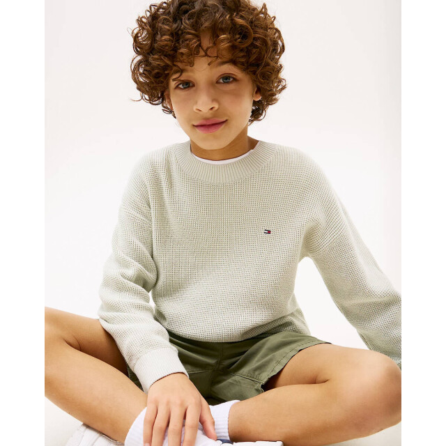 Tommy Hilfiger Sweat kb0kb09756 Tommy Hilfiger Pullover KB0KB09756 large