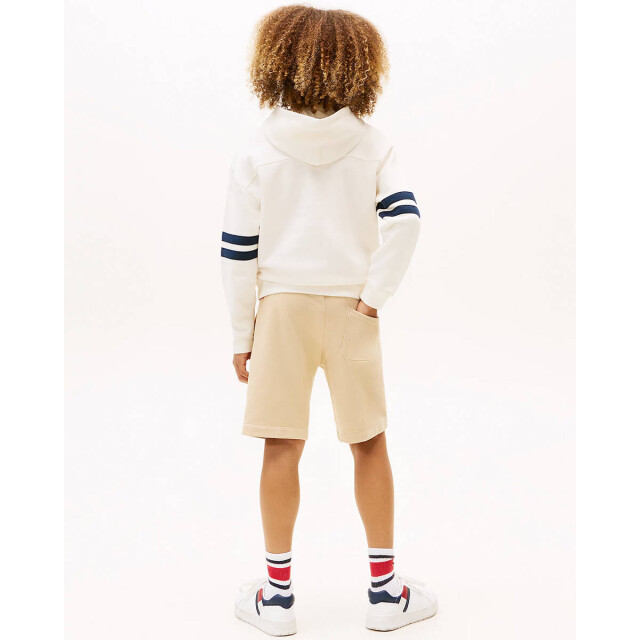 Tommy Hilfiger Sweat kb0kb09742 Tommy Hilfiger Hoodie KB0KB09742 large